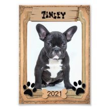 Su Mascota familiar - Plantilla de fotografía deco