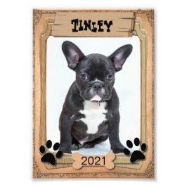 Su Mascota familiar - Plantilla de fotografía deco