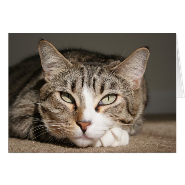 Su nombre es Asia (Anverso (Horizontal))