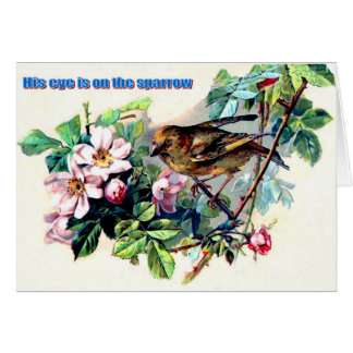 Su ojo está en el gorrión