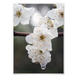 Su Personalizado 12" x 16" Foto Ampliación