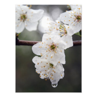 Su Personalizado 12" x 16" Foto Ampliación