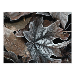 Su Personalizado 16" x 12" Ampliación de la foto