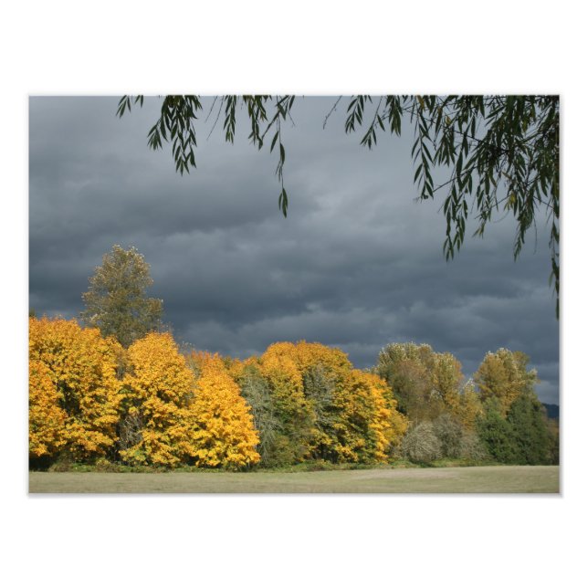 Su Personalizado 16" x 12" Foto Ampliación (Frente)