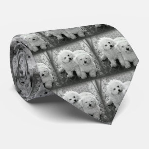 Su propia corbata de la foto