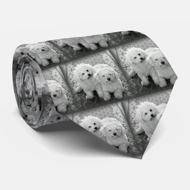 Su propia corbata de la foto (Enrollado)