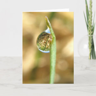 Su tarjeta al revés dada vuelta mundo