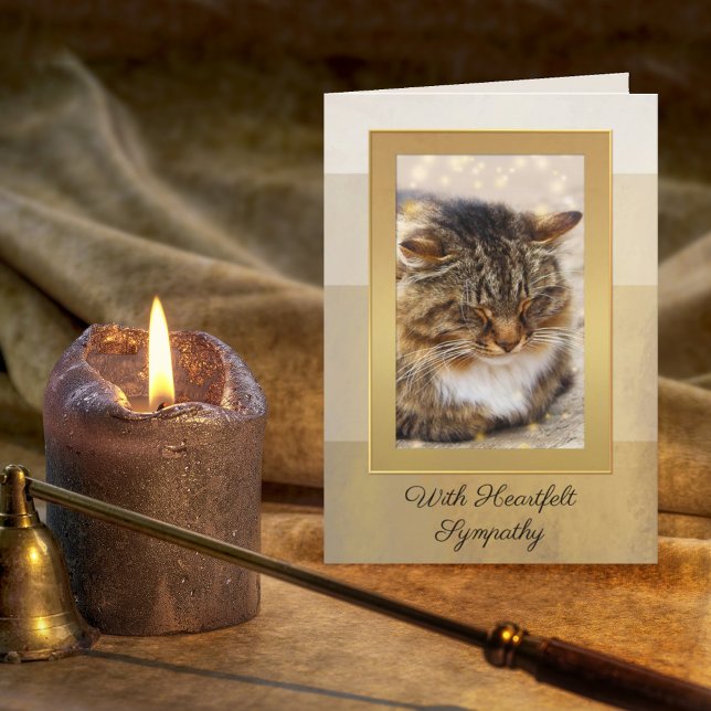 Su tarjeta de simpatía para gato elegante con raya (Subido por el creador)