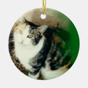 su verde del ornamento de la foto del mascota