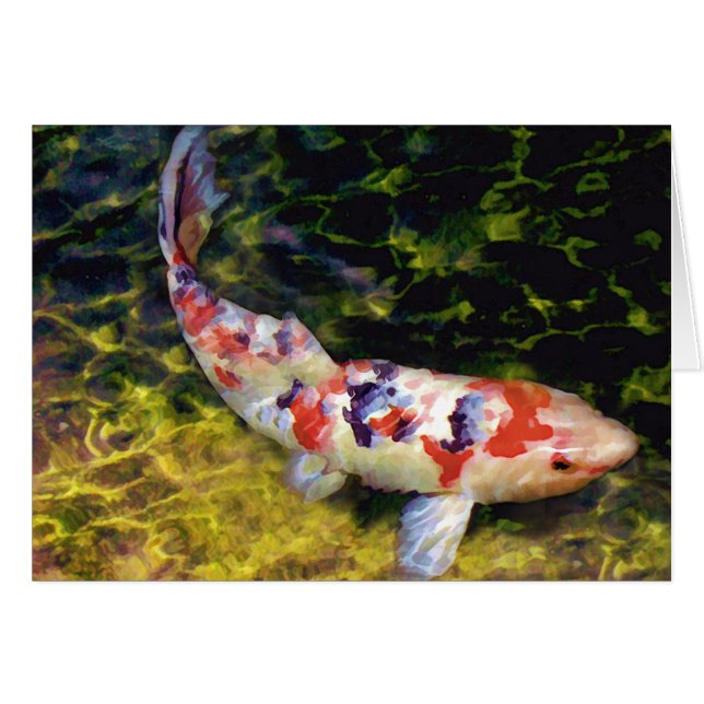 Subacuático Sanke Koi (Anverso (Horizontal))