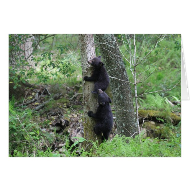 Subida (Anverso (Horizontal))