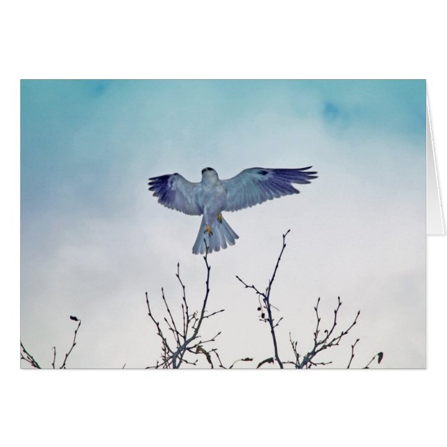 Subida (Anverso (Horizontal))