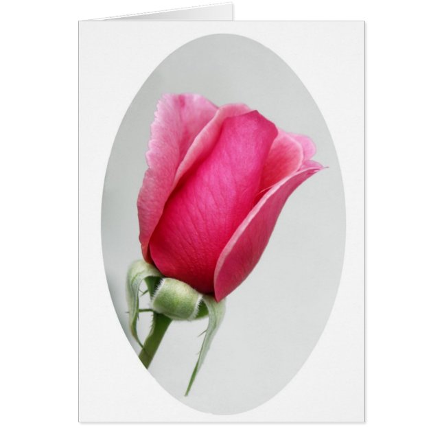 Subió en óvalo (Frente)