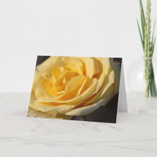 Subió todas las tarjetas de felicitación de ocasió (Anverso)