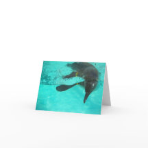 Submarinismo con pingüino en agua azul en blanco