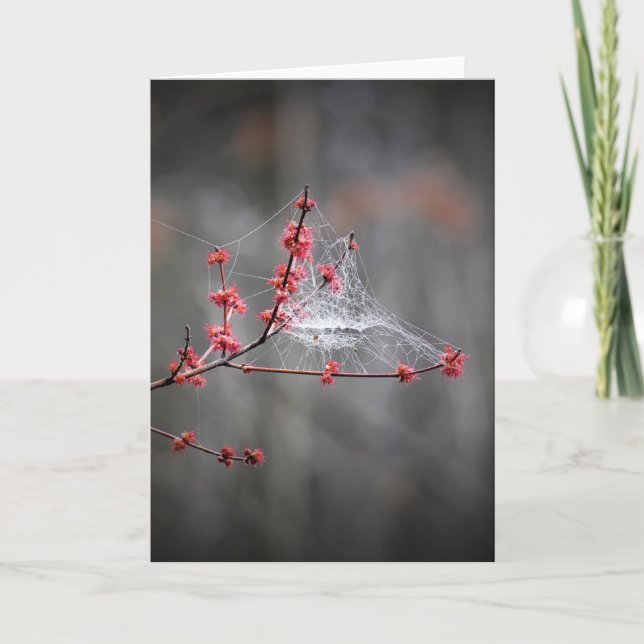 Subprocesos de primavera, tarjeta (Anverso)