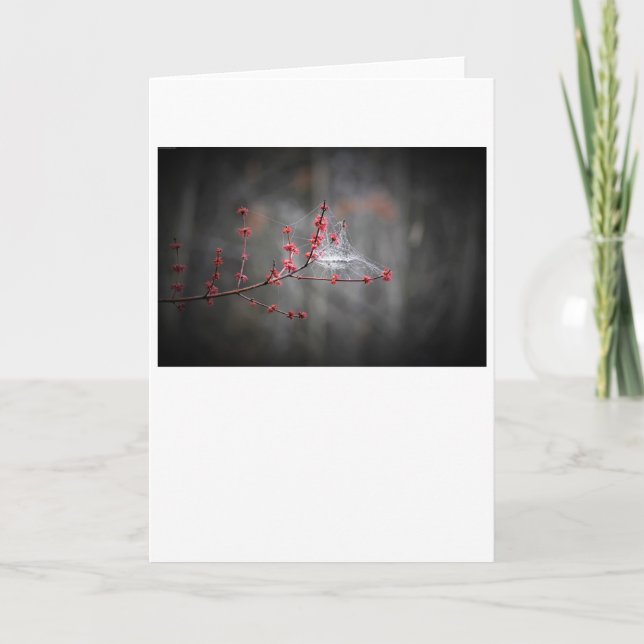 Subprocesos de primavera, tarjeta (Anverso)