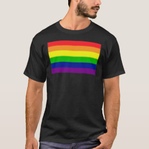Subtil bandera del Orgullo Gay Clásico de Camiseta