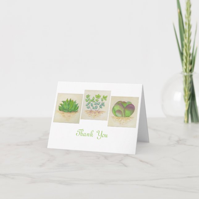 Succulent Trio tarjeta de agradecimiento (Anverso)