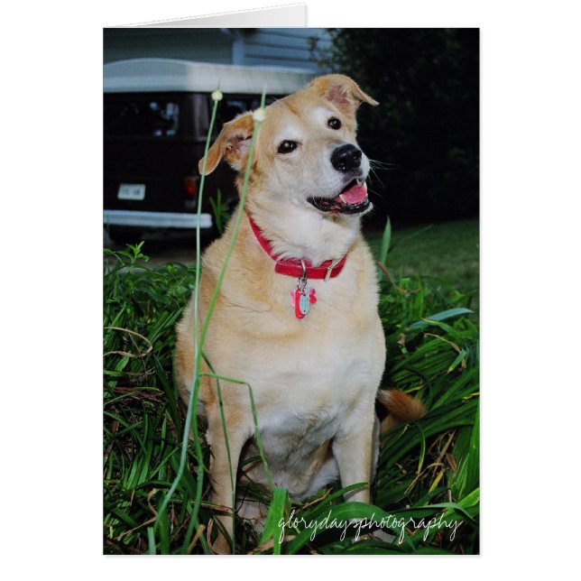 Sucio, glorydaysphotografía (Frente)