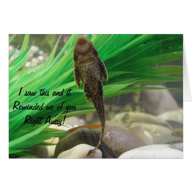 Suck Card (Anverso (Horizontal))