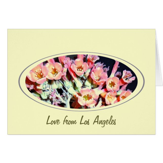 Suculenta "maleza" (Anverso (Horizontal))