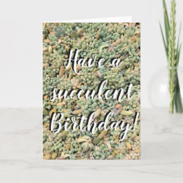 Suculenta tarjeta de cumpleaños