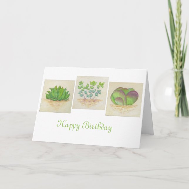 Suculenta tarjeta de cumpleaños Trio (Anverso)