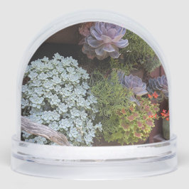 Suculentas Nieve Globe