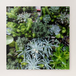 Suculentas plantas de cactus de rompecabezas difíc