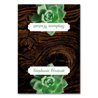 Suculentas y tarjetas de plaza con techo de madera
