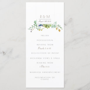 Suculento acuarela   Inicial   Programa