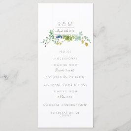 Suculento acuarela | Inicial | Programa