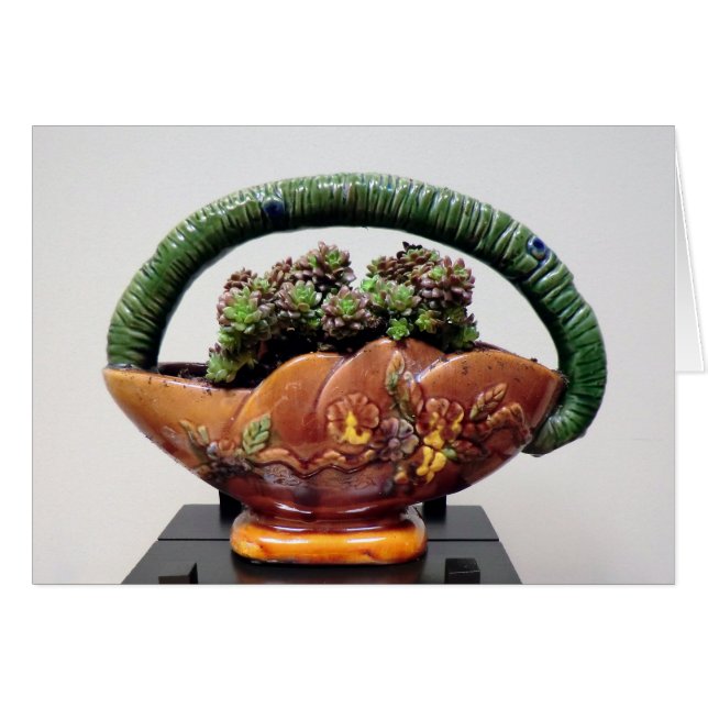 Suculento en la cesta por diseños exitosos (Anverso (Horizontal))