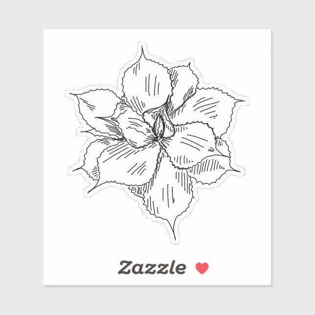 Suculento Pegatina (Hoja)