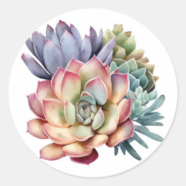 Suculento Pegatina