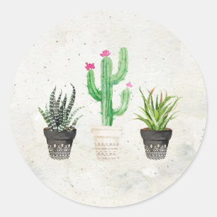 Suculento Pegatinas del Desierto Cactus Favorito -
