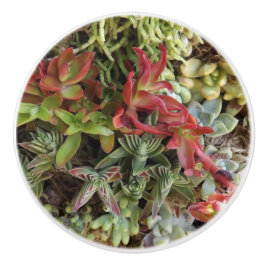 Suculento pomo de cerámica Personalizado