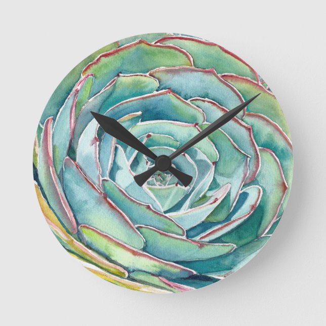 Suculento reloj de pared de Echeveria (Anverso)