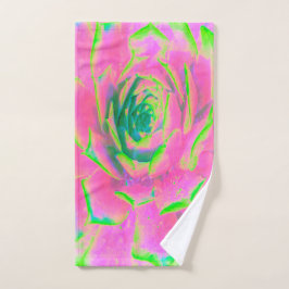 Suculento rosette de sedum verde limón y rosa