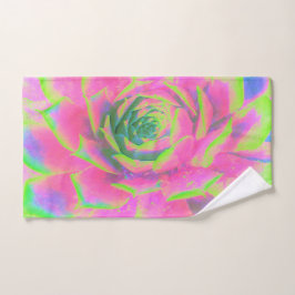 Suculento rosette de sedum verde limón y rosa