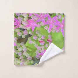 Suculento sedum rosa caliente con hojas verdes flo