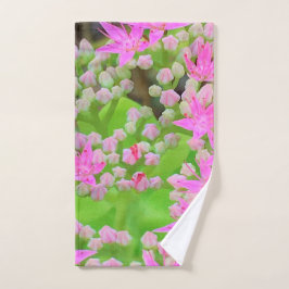 Suculento sedum rosa caliente con hojas verdes flo