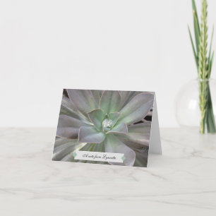 Suculento Verde Personalizado