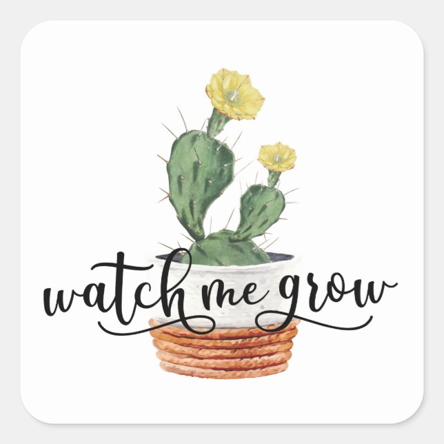 Suculento Watch Me Grow Pegatina (Anverso)