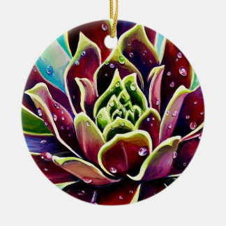 Suculentos Navidades Ornamento de Círculo Cerámico
