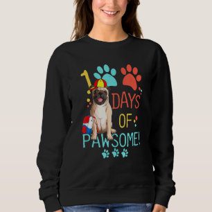 Sudadera 100 Días De Colegio De Perro De Pug 100 Días De Pa