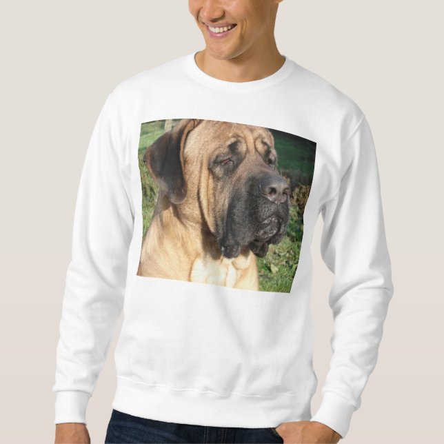 Sudadera 1.ª rasguñadura (Anverso)