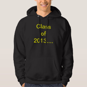 SUDADERA 2013