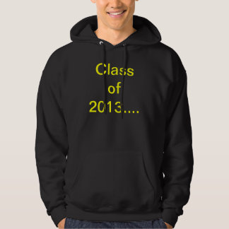 SUDADERA 2013
